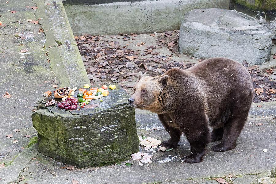 Christmas for the Bears, 24.12.2016, Advent and Christmas in Český Krumlov