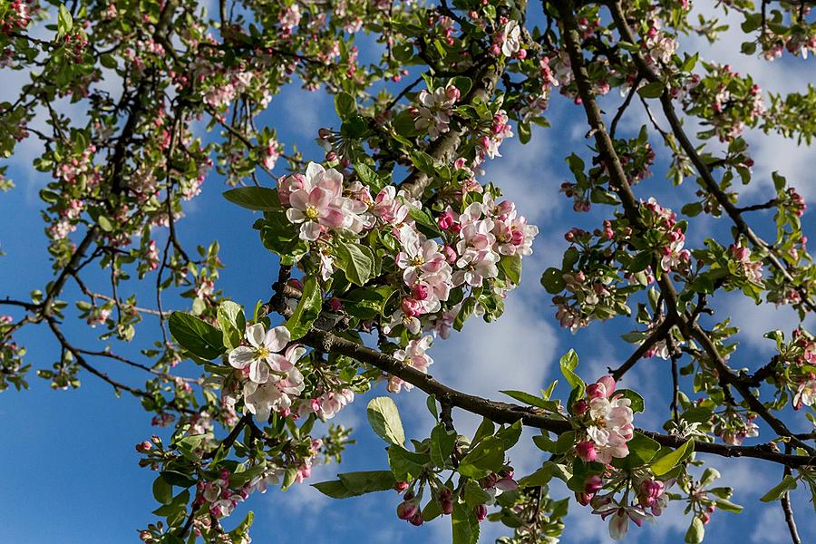 Zauberhaftes Krumlov 30.4.2017