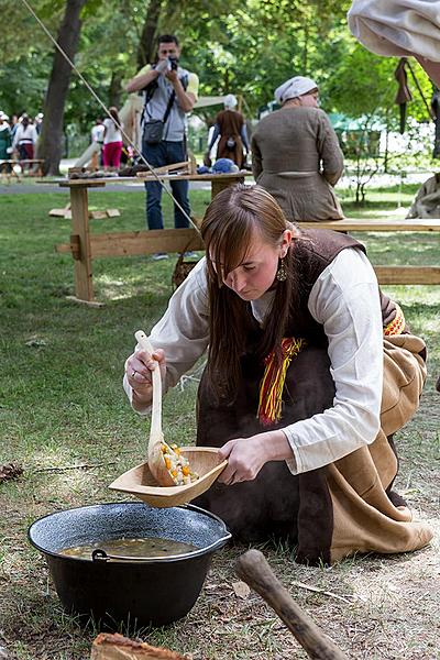 Five-Petalled Rose Celebrations ®, Český Krumlov, Sunday 18th June 2017