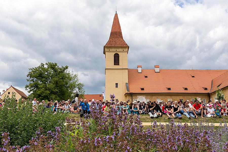 Five-Petalled Rose Celebrations ®, Český Krumlov, Sunday 18th June 2017