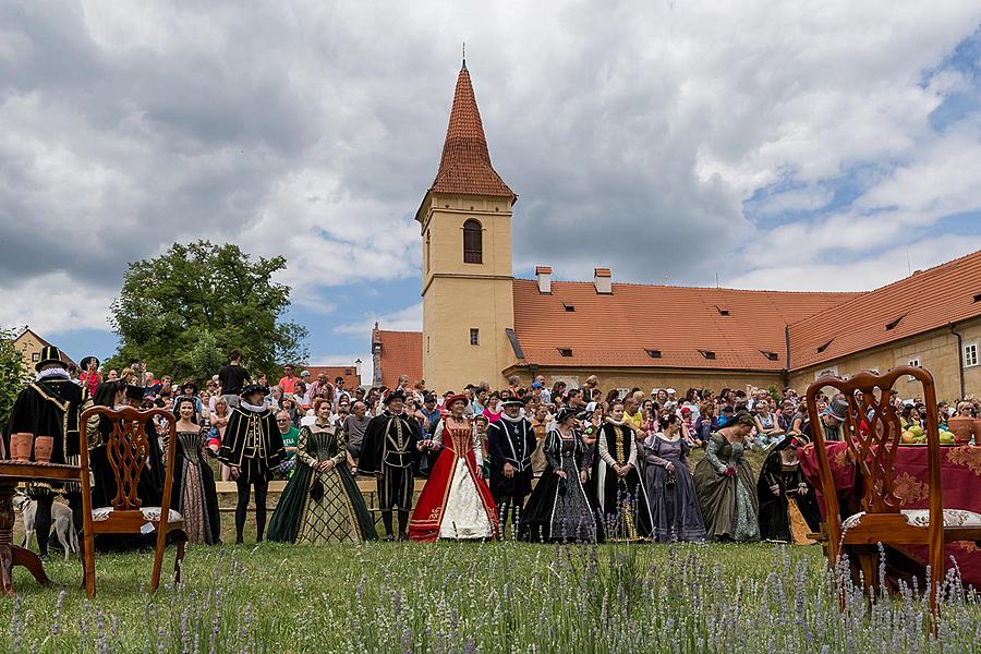 Five-Petalled Rose Celebrations ®, Český Krumlov, Sunday 18th June 2017