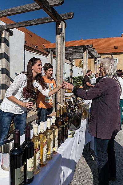 Saint Wenceslas Celebrations and International Folk Music Festival 2017 in Český Krumlov, Friday 30th Saturday 2017