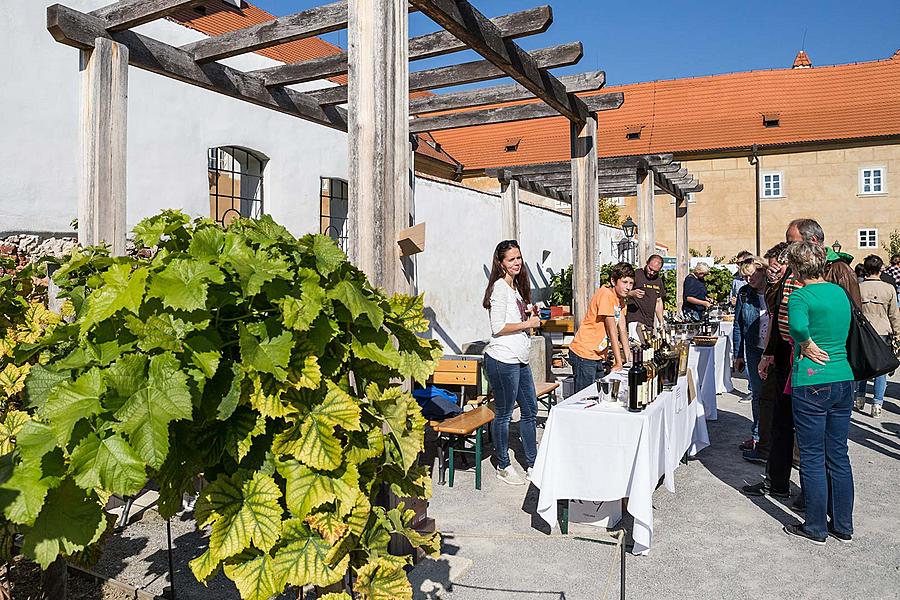 St.-Wenzels-Fest und Internationales Folklorefestival 2017 in Český Krumlov, Samstag 30. September 2017