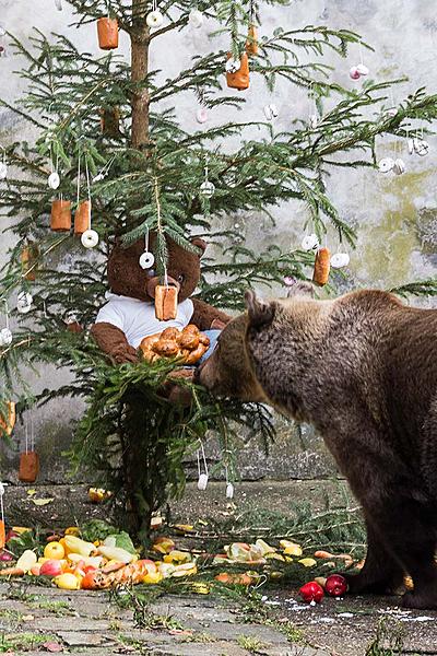 Bärenweihnachten, 24.12.2017, Advent und Weihnachten in Český Krumlov