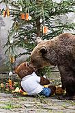 Bärenweihnachten, 24.12.2017, Advent und Weihnachten in Český Krumlov, Foto: Lubor Mrázek