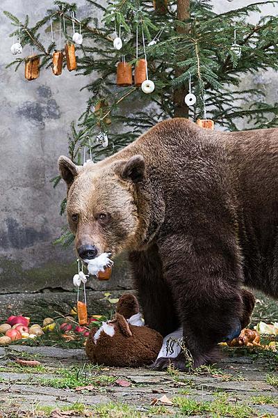 Bärenweihnachten, 24.12.2017, Advent und Weihnachten in Český Krumlov