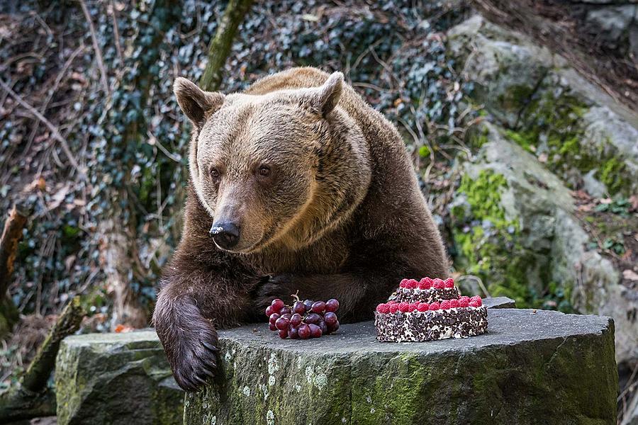 Bärenweihnachten, 24.12.2017, Advent und Weihnachten in Český Krumlov