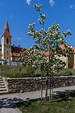 Kláštery Český Krumlov - Kouzelný Krumlov 28.4.2018, foto: Lubor Mrázek