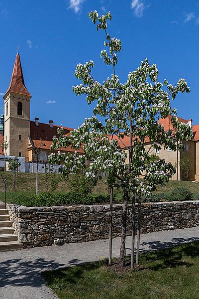 Monasteries Český Krumlov - Magical Krumlov 28.4.2018