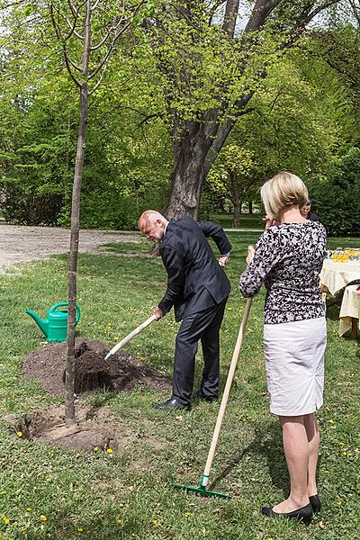 Planting of Olga Havlová Tree - Magical Krumlov 1.5.2018