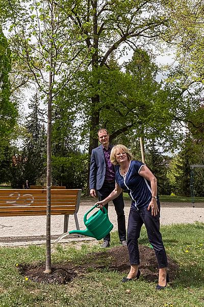 Planting of Olga Havlová Tree - Magical Krumlov 1.5.2018