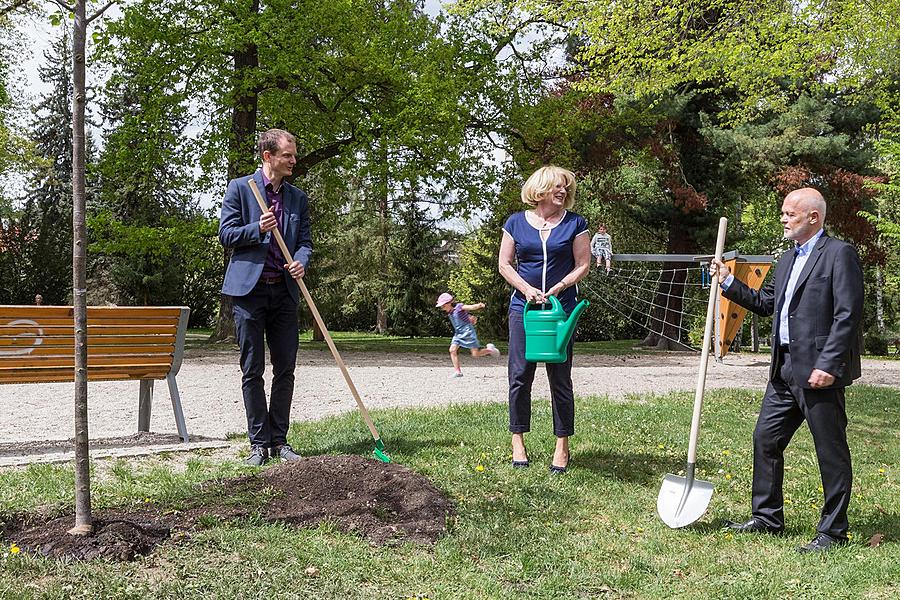 Planting of Olga Havlová Tree - Magical Krumlov 1.5.2018