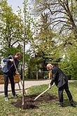 Planting of Olga Havlová Tree - Magical Krumlov 1.5.2018, photo by: Lubor Mrázek