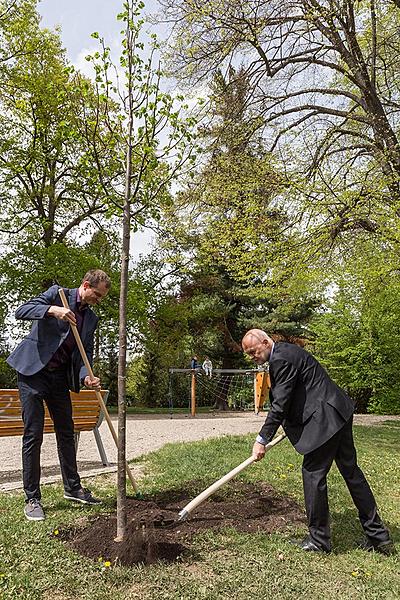 Planting of Olga Havlová Tree - Magical Krumlov 1.5.2018