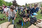 Festakt anlässlich des 73. Jahrestages des Endes des Zweiten Weltkriegs - Letzter Kampf, Český Krumlov 5.5.2018, Foto: Lubor Mrázek