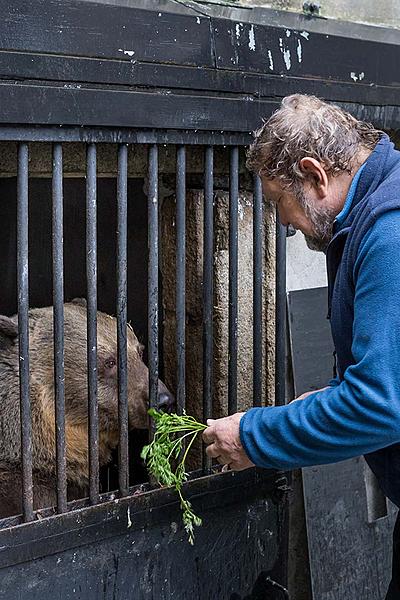 Christmas for the Bears, 24.12.2018, Advent and Christmas in Český Krumlov