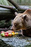 Christmas for the Bears, 24.12.2018, Advent and Christmas in Český Krumlov, photo by: Lubor Mrázek