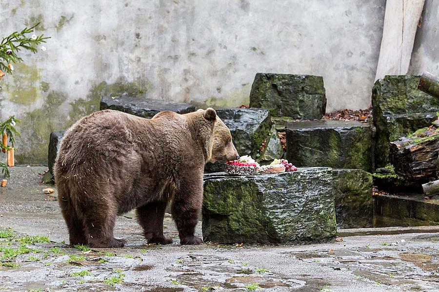 Christmas for the Bears, 24.12.2018, Advent and Christmas in Český Krumlov