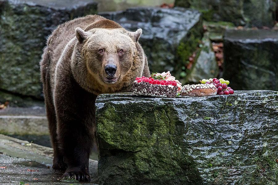 Bärenweihnachten, 24.12.2018, Advent und Weihnachten in Český Krumlov