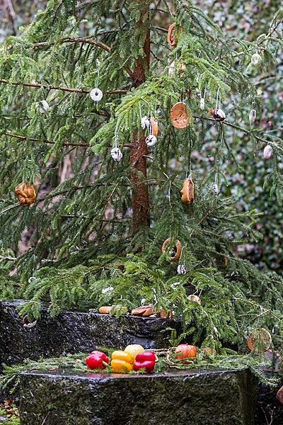 Christmas for the Bears, 24.12.2018, Advent and Christmas in Český Krumlov