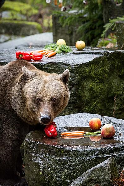 Bärenweihnachten, 24.12.2018, Advent und Weihnachten in Český Krumlov