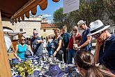 Five-Petalled Rose Celebrations ®, Český Krumlov, Friday 21. 6. 2019