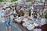 Slavnosti pětilisté růže ®, Český Krumlov, pátek 21. 6. 2019