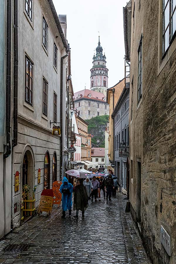 Five-Petalled Rose Celebrations ®, Český Krumlov, Saturday 22. 6. 2019