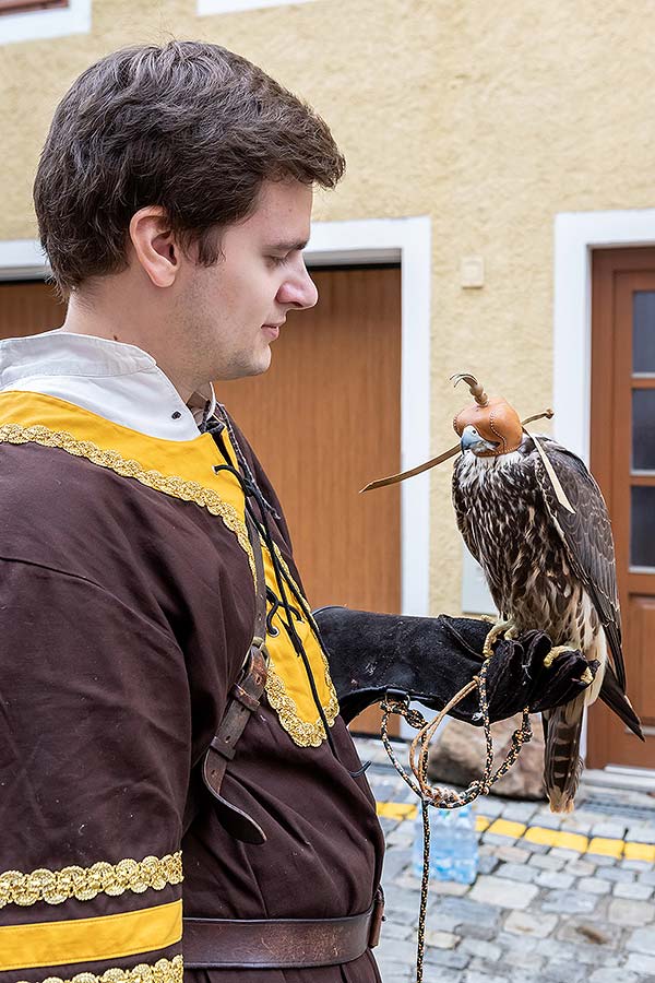 Fest der fünfblättrigen Rose ®, Český Krumlov, Samstag 22. 6. 2019