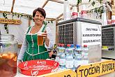 Five-Petalled Rose Celebrations ®, Český Krumlov, Sunday 23. 6. 2018, photo by: Lubor Mrázek