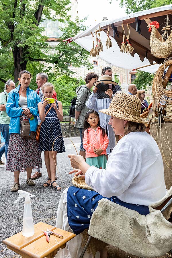 Five-Petalled Rose Celebrations ®, Český Krumlov, Sunday 23. 6. 2018