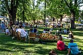 Jazzband Schwarzenberské gardy, 30.6.2019, Festival komorní hudby Český Krumlov - 33. ročník, foto: Lubor Mrázek