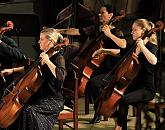 Vahid Khadem-Missagh (dirigent, housle), Allegro Vivo Chamber Orchestra, 1.8.2019, Mezinárodní hudební festival Český Krumlov, foto: Libor Sváček