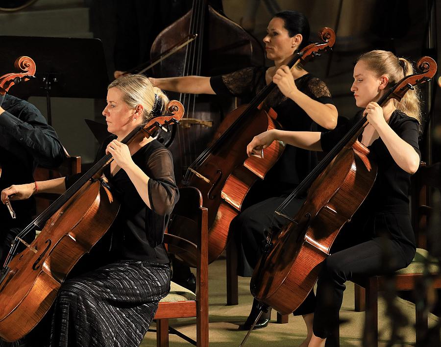 Vahid Khadem-Missagh (dirigent, housle), Allegro Vivo Chamber Orchestra, 1.8.2019, Mezinárodní hudební festival Český Krumlov