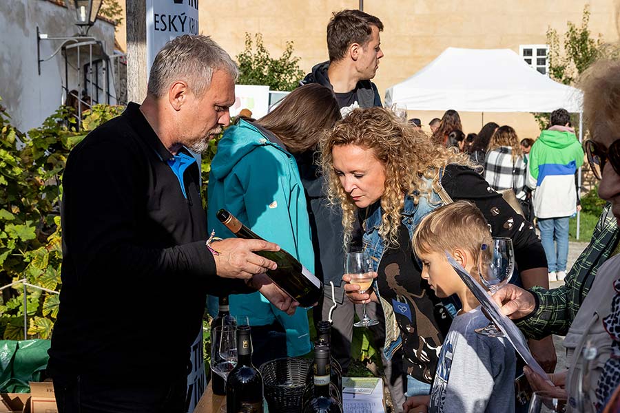 St.-Wenzels-Fest und Internationales Folklorefestival 2019 in Český Krumlov, Samstag 28. September 2019