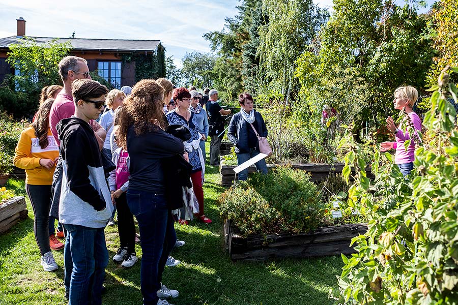 Saint Wenceslas Celebrations and International Folk Music Festival 2019 in Český Krumlov, Sunday 29th September 2019