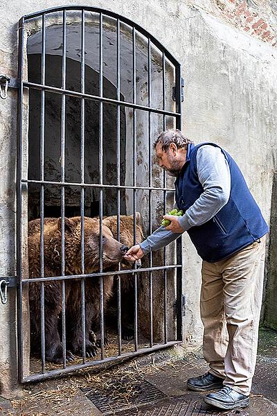 Christmas Day – Bear Christmas in Český Krumlov 24.12.2019