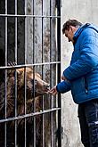 Christmas Day – Bear Christmas in Český Krumlov 24.12.2019, photo by: Lubor Mrázek