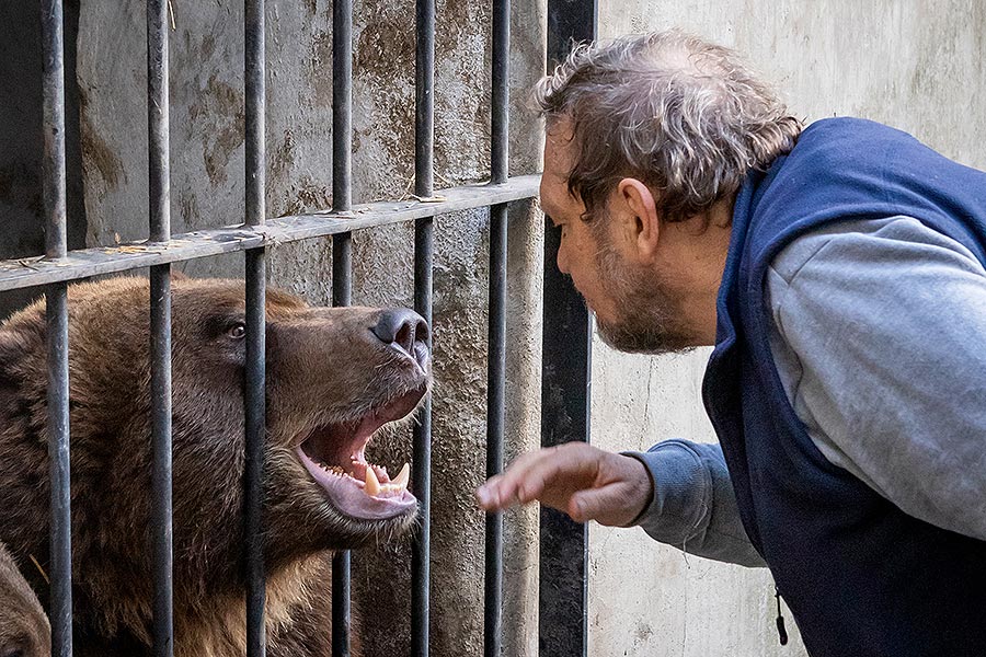 Christmas Day – Bear Christmas in Český Krumlov 24.12.2019