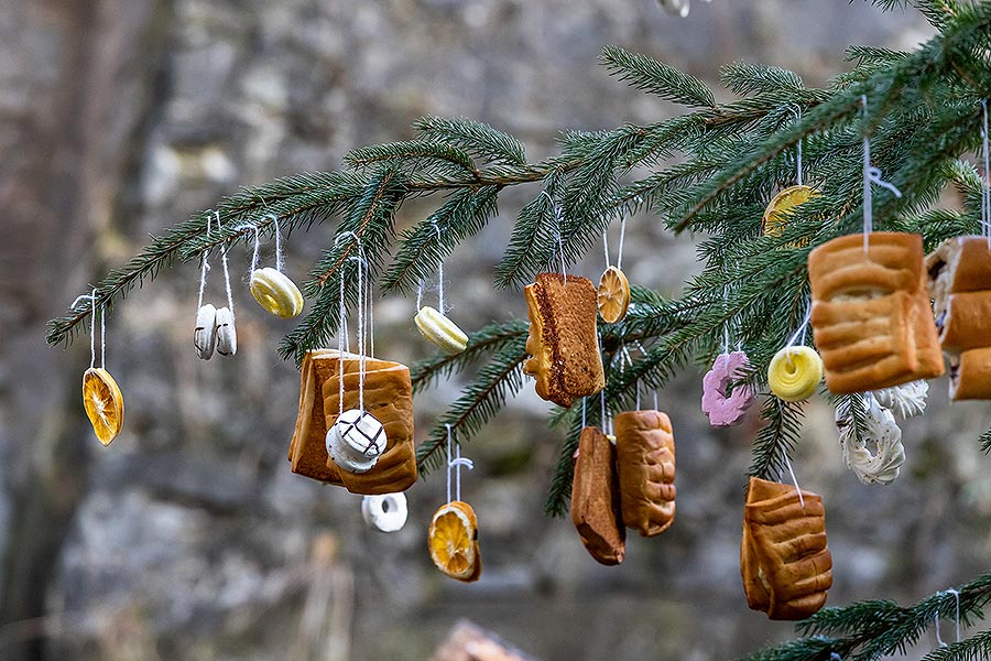 Heiligabend - Bärenweihnachten in Český Krumlov 24.12.2019