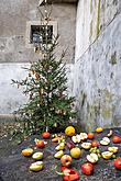 Christmas Day – Bear Christmas in Český Krumlov 24.12.2019, photo by: Lubor Mrázek