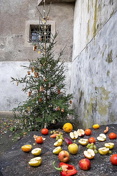 Štědrý den - Medvědí Vánoce v Českém Krumlově 24.12.2019