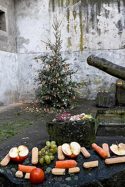 Heiligabend - Bärenweihnachten in Český Krumlov 24.12.2019