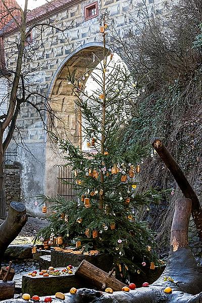 Heiligabend - Bärenweihnachten in Český Krumlov 24.12.2019