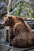 Christmas Day – Bear Christmas in Český Krumlov 24.12.2019, photo by: Lubor Mrázek