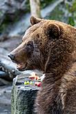 Christmas Day – Bear Christmas in Český Krumlov 24.12.2019, photo by: Lubor Mrázek