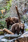 Christmas Day – Bear Christmas in Český Krumlov 24.12.2019, photo by: Lubor Mrázek