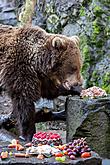 Christmas Day – Bear Christmas in Český Krumlov 24.12.2019, photo by: Lubor Mrázek