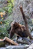 Christmas Day – Bear Christmas in Český Krumlov 24.12.2019, photo by: Lubor Mrázek