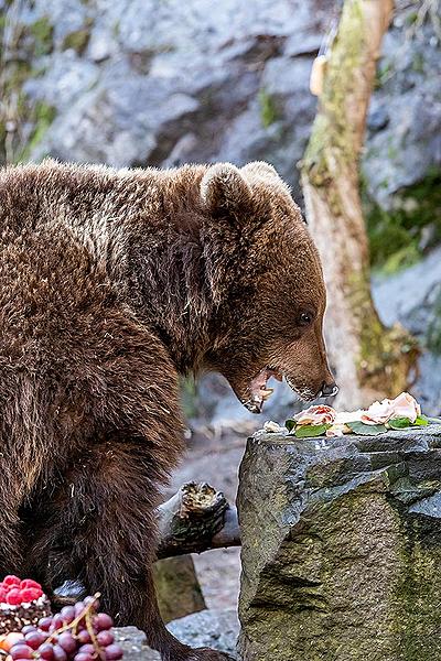 Christmas Day – Bear Christmas in Český Krumlov 24.12.2019